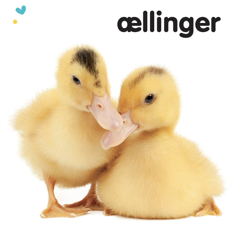 ryste-ryste-dyreunger-9788776430436