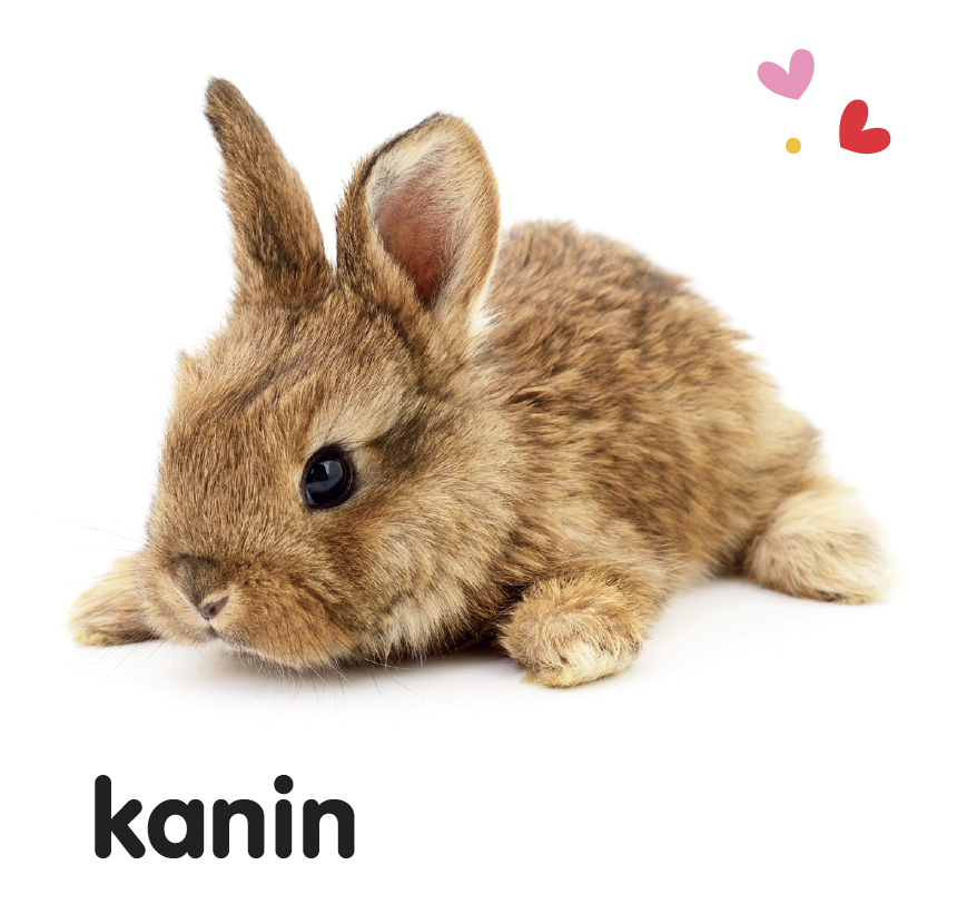 ryste-ryste-dyreunger-9788776430436