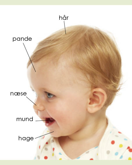 DANISH_MyFirstBody_Jacket_UK – Lone.indd