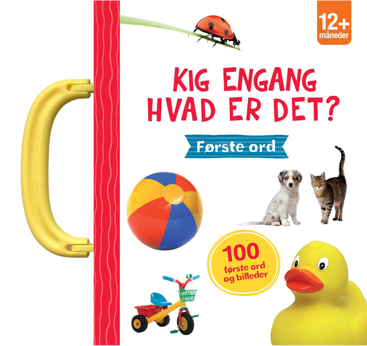 Kig engang – Hvad er det? Første ord
