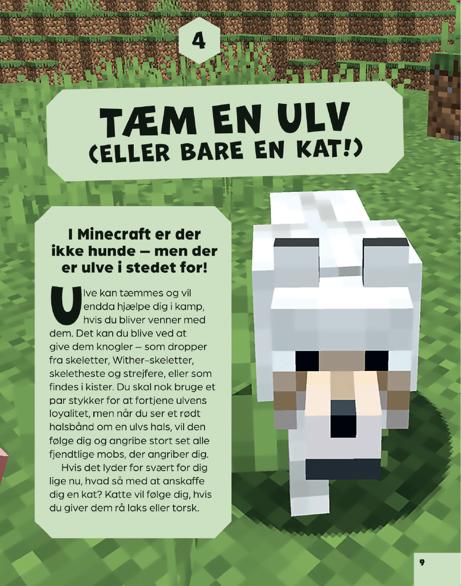 101-seje-ting-du-kan-lave-i-minecraft-9788776431013